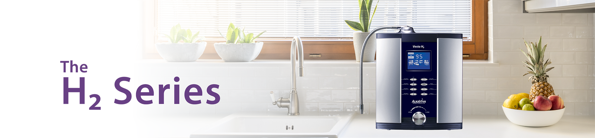 buying an alkaline water ionizer