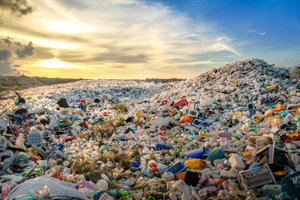 plastic bottle landfill